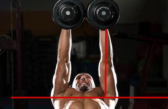 啞鈴飛鳥動(dòng)作