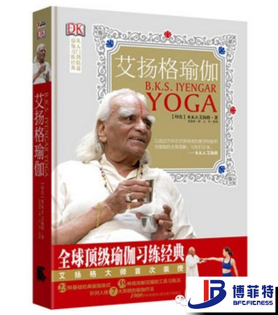 艾揚(yáng)格瑜伽：精準(zhǔn)習(xí)練指南